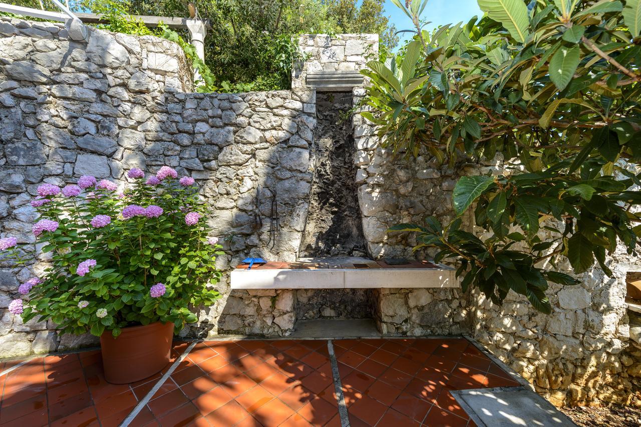 Two Palms Villa Zaton  Kültér fotó